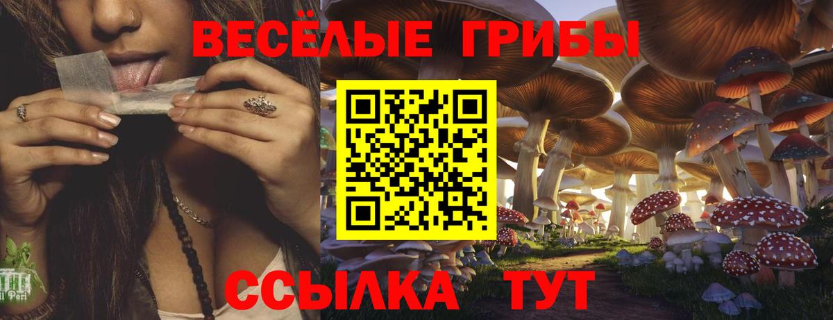 Галлюциногенные грибы мицелий Лобня