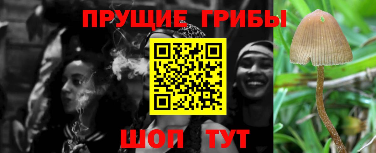 Галлюциногенные грибы Cubensis  Вход с VPN  Лобня  Псилоцибиновые грибы GOLDEN TEACHER 